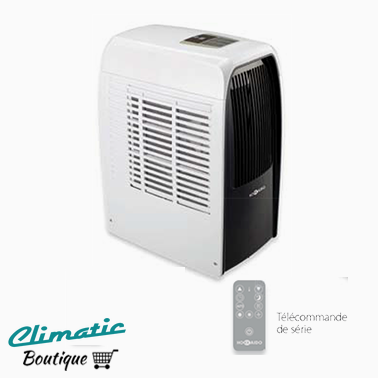 Climatiseur portable