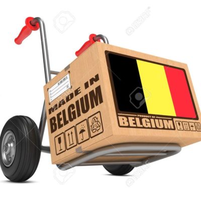 Livraison Belgique Lignum taille L