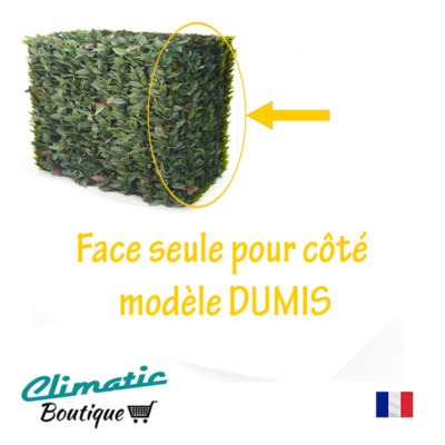Face côté DUMIS
