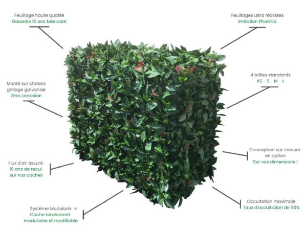 <b>DUMIS</b><br>cache clim feuillage – Image 2