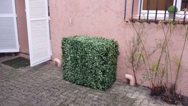 <b>DUMIS</b><br>cache clim feuillage – Image 8